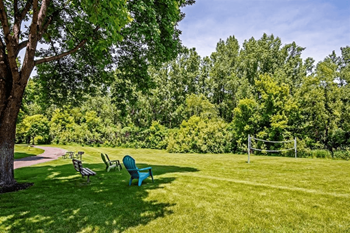 Volleyball court